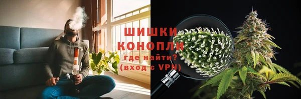 ГАЛЛЮЦИНОГЕННЫЕ ГРИБЫ Осташков