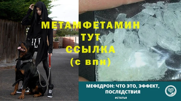 крисы Осинники