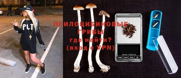 дживик Переславль-Залесский