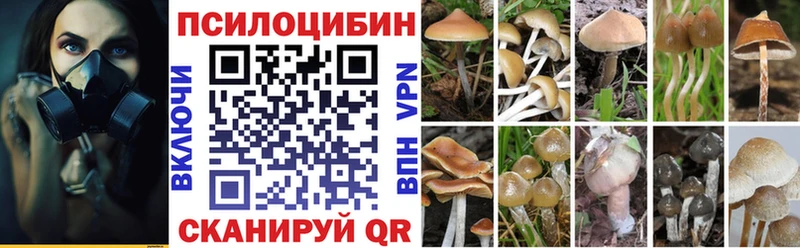 где продают   Купино  Галлюциногенные грибы Magic Shrooms 