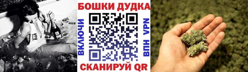 Бошки марихуана конопля Купино