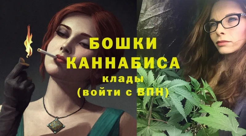 Шишки марихуана Amnesia  Купино 